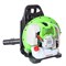 Воздуходувка бензиновая ранцевая REDVERG RD-GAB263R 10263