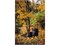 Грабли FISKARS Solid для листьев XL 6945